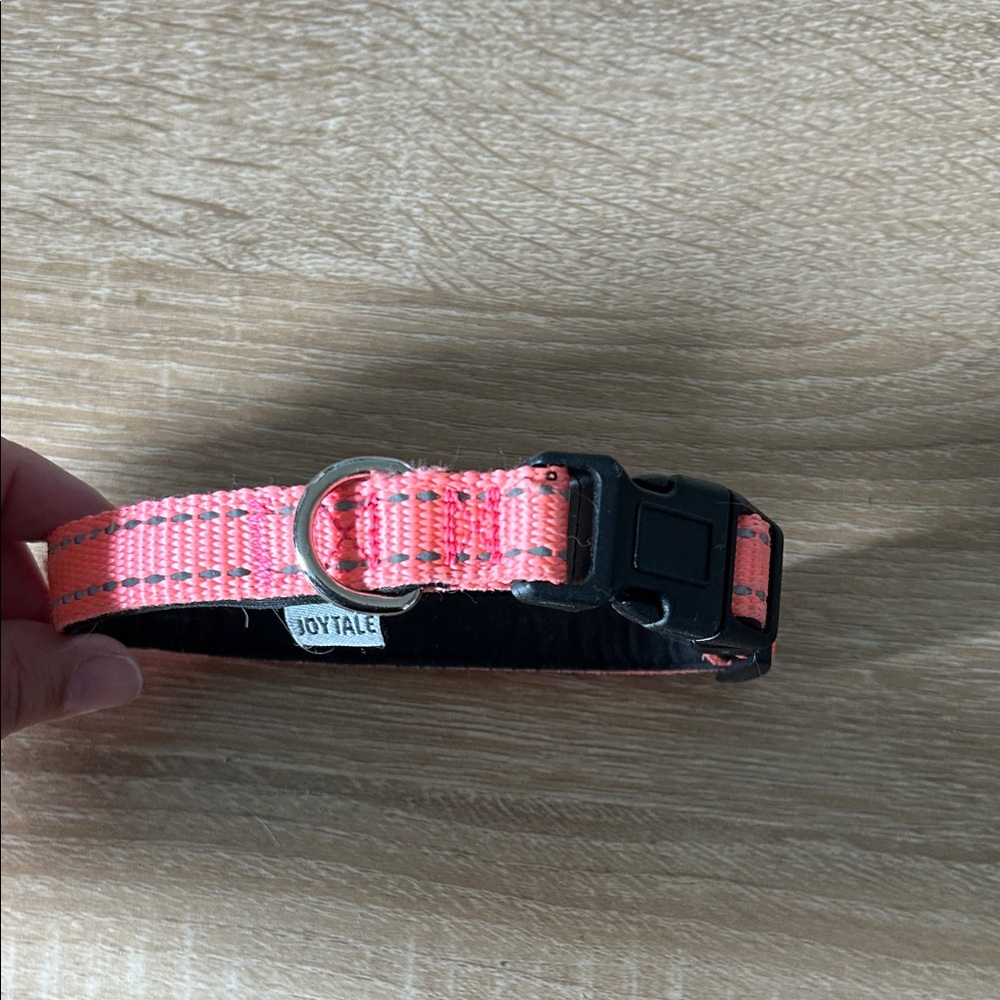 Neon Pink Dog Collar with Reflective Stitching